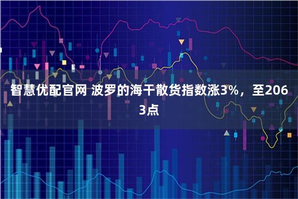 智慧优配官网 波罗的海干散货指数涨3%，至2063点