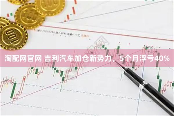 淘配网官网 吉利汽车加仓新势力,5个月浮亏40%