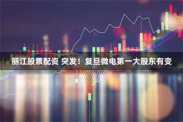 丽江股票配资 突发!复旦微电第一大股东有变