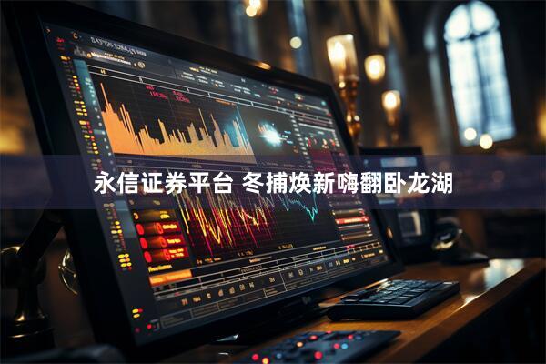 永信证券平台 冬捕焕新嗨翻卧龙湖