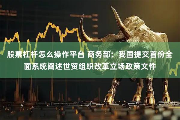股票杠杆怎么操作平台 商务部：我国提交首份全面系统阐述世贸组织改革立场政策文件